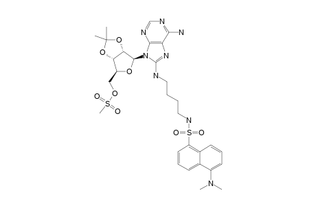 8-AMINO-[1''-(N''-DANSYL)-4''-AMINOBUTYL]-2',3'-O-ISOPROPYLIDENE-5'-O-MESYLADENOSINE