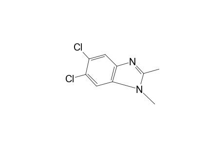 5,6-dichloro-1,2-dimethylbenzimidazole