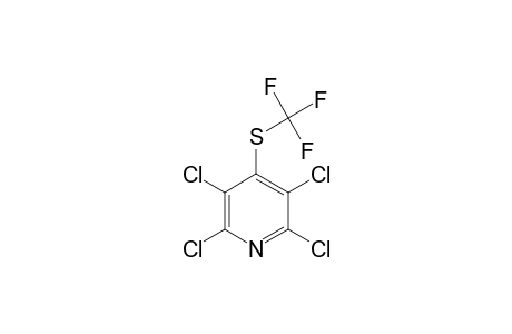 4-TRIFLUOROMETHYLTHIO-2,3,5,6-TETRACHLOROPYRIDINE