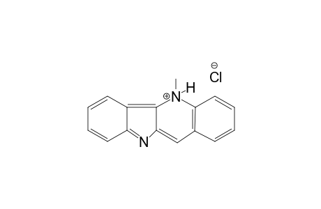 CRYPTOLEPINE.HYDROCHLORIDE