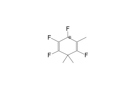 1,1,3-TRIMETHYLTETRAFLUOROBENZOLONIUM CATION