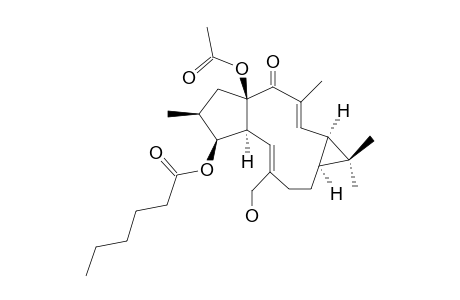 EUPHORBIA-FACTOR-L10;15-ACETYL-5-HEXANOYL-17-HYDROXYISOLATHYROL