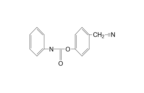 (p-hydroxyphenyl)acetonitrile, carbanilate (ester)