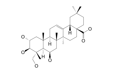 TERMINOLIC ACID ; 2alpha,3beta,6beta,23-TETRAHYDROXYOLEAN-12-EN-28-OIC ACID