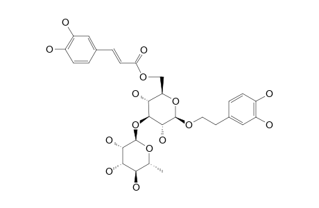 ISOACTEOSIDE;FRACTION-II