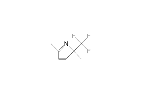 2,5-Dimethyl-2-trifluoromethyl-2H-pyrrole