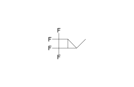 endo-5-Methyl-2,2,3,3-tetrafluoro-bicyclo(2.1.0)pentane