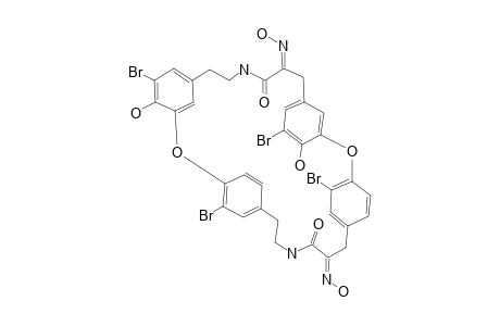 BASTADIN-20