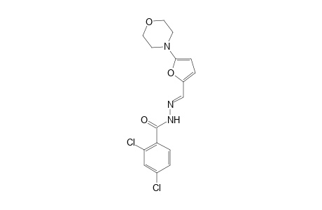 2,4-bis(chloranyl)-N-[(E)-(5-morpholin-4-ylfuran-2-yl)methylideneamino]benzamide