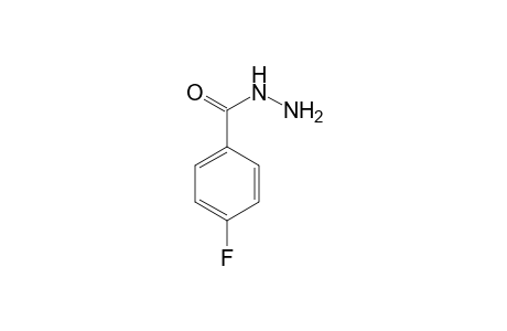 4-Fluorobenzoic hydrazide