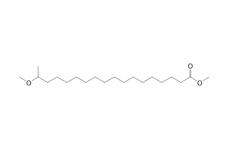 Octadecanoic acid, 17-methoxy-, methyl ester