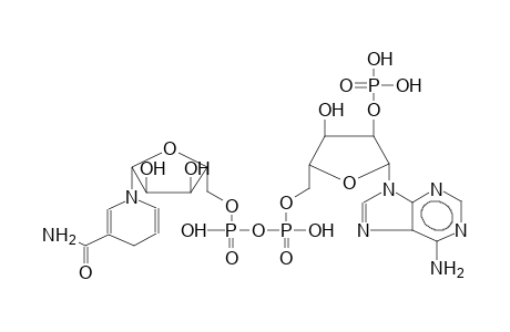 NADPH