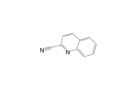 quinaldonitrile