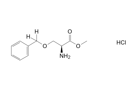 L-3-(benzyloxy)alanine, methyl ester, hydrochloride