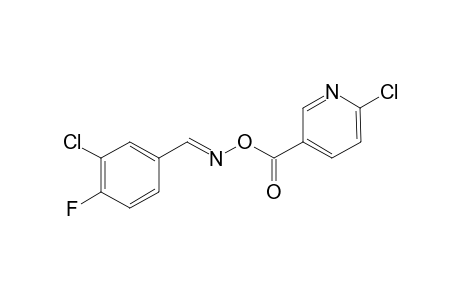 3-Chloro-4-fluorobenzaldehyde o-[(6-chloro-3-pyridinyl)carbonyl]oxime