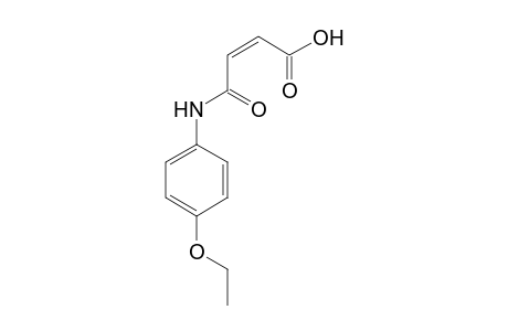 N-(4-Ethoxyphenyl)maleamic acid