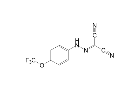 FCCP