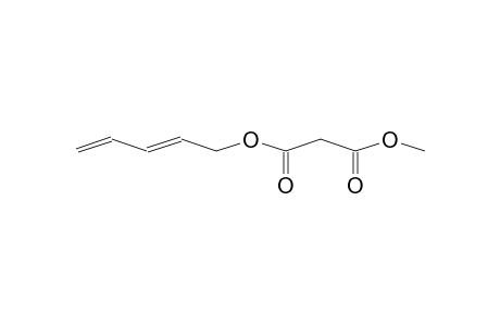 PROPANEDIOIC ACID, METHYL-2,4-PENTADIENYL ESTER