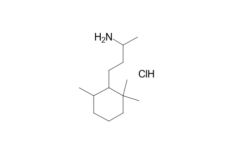 alpha,2,6,6-TETRAMETHYLCYCLOHEXANEPROPYLAMINE, HYDROCHLORIDE