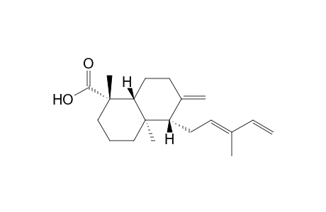 (E)-COMMUNIC-ACID