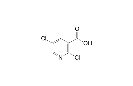 2,5-Dichloronicotinic acid