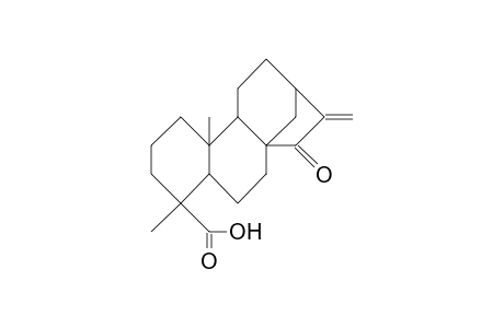 KAUR-16-EN-18-OIC ACID, 15-OXO-