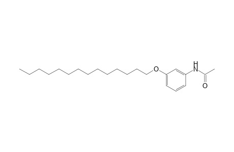 3'-(tetradecyloxy)acetanilide