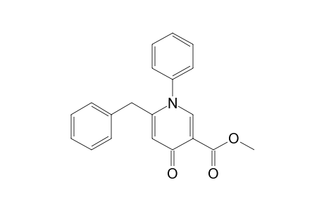 NYGERONE_B