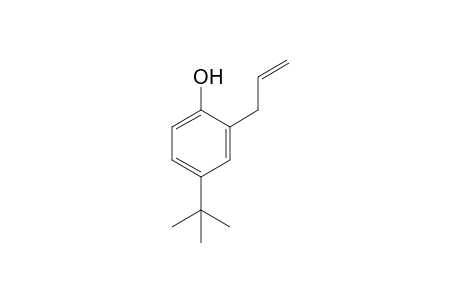 2-Allyl-4-tert-butyl-phenol