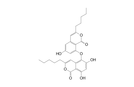 Norcollatone