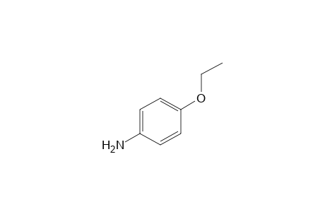 p-Phenetidine