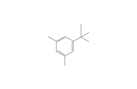 5-tert-Butyl-m-xylene