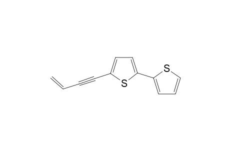 5-(3-BUTEN-1-YNYL)-2,2'-BITHIOPHENE