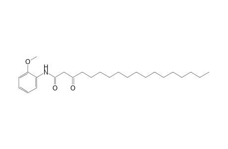 2-palmitoyl-o-acetanisidide