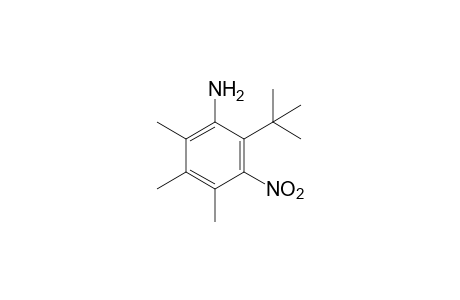 2-tert-butyl-3-nitro-4,5,6-trimethylaniline