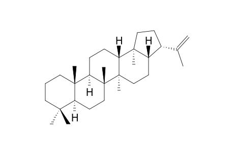 Hop-22(29)-ene