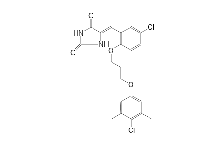 (5Z)-5-{5-chloro-2-[3-(4-chloro-3,5-dimethylphenoxy)propoxy]benzylidene}-2,4-imidazolidinedione