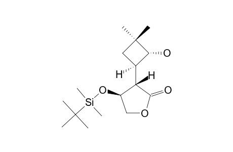 (3S,4S)-4-(TERT.-BUTYLDIMETHYLSILYLOXY)-3-[(1R,2R)-2-HYDROXY-3,3-DIMETHYLCYCLOBUTYL]-4,5-DHYDROFURAN-2(3H)-ONE