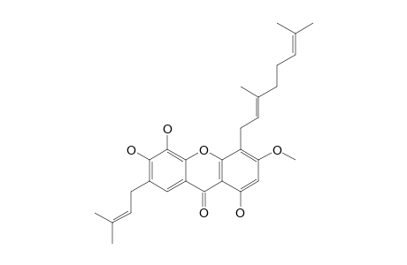 OBLONGIXANTHONE_B;1,5,6-TRIHYDROXY-3-METHOXY-7-(3-METHYL-2-BUTENYL)-4-(3,7-DIMETHYL-2,6-OCTADIENYL)-XANTHONE