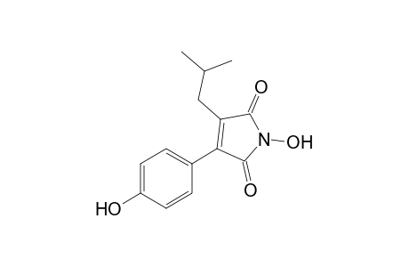 ANTROCINNAMOMIN_B;3-ISOBUTYL-4-(4-HYDROXYPHENYL)-1-H-PYRROL-1-OLE-2,5-DIONE