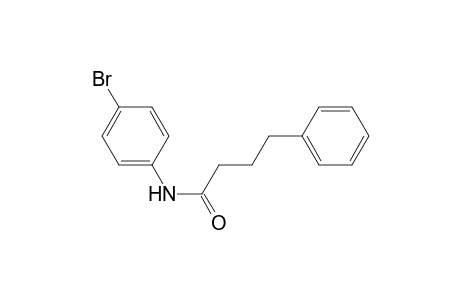 N-(4-Bromophenyl)-4-phenylbutanamide