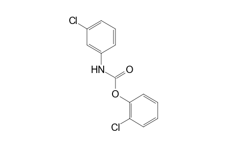 m-chlorocarbanilic acid, o-chlorophenyl ester