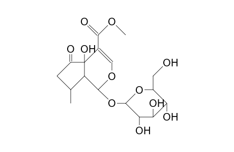 Hastatoside