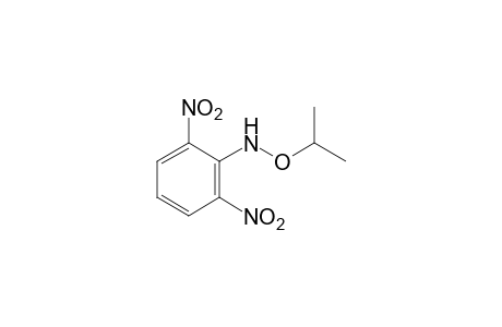 N-(2,6-dinitrophenyl)-o-isopropylhydroxylamine