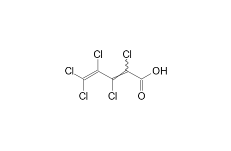 2,3,4,5,5-Pentachloro-2,4-pentadienoic acid