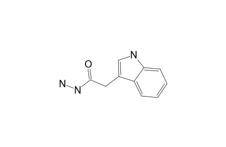 Indole-3-acetic acid hydrazide