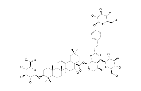 TRAGOPOGONSAPONIN-P;3-O-BETA-[6-O-METHYL-GLUCURONOPYRANOSYL-ECHINOCYSTIC-ACID-28-O-[GLUCOPYRANOSYL-(1->3)-2-[3-GLUCOPYRANOSYL-(1->4)-PHENYL]-PROP