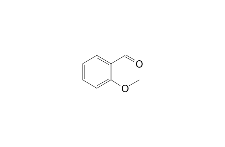 o-Anisaldehyde