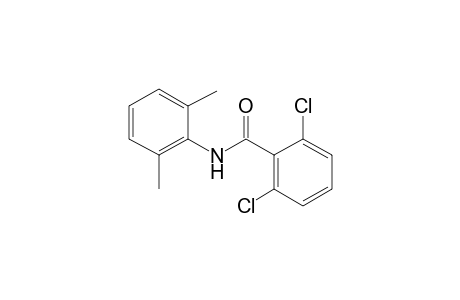 2,6-dichloro-2',6'-benzoxylidide