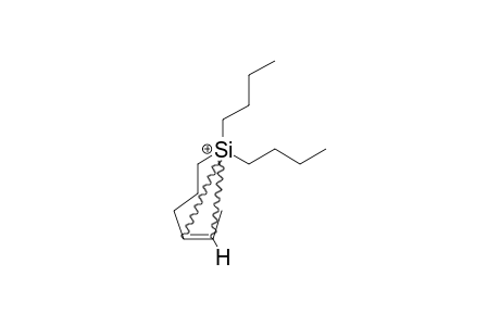 2,2-DI-N-BUTYL-2-SILANORBORNYL-CATION